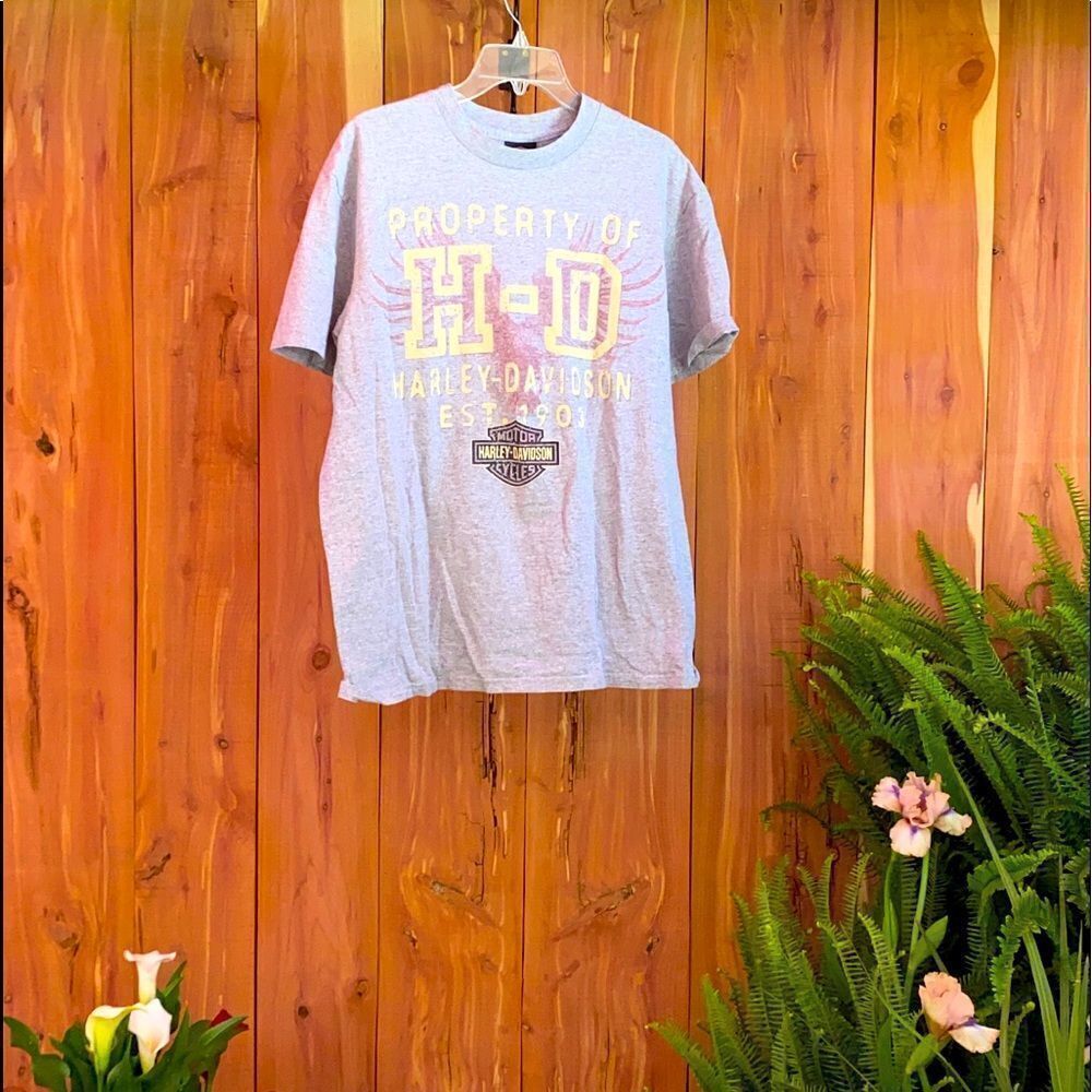 Mens short sleeve HD tee size Lg